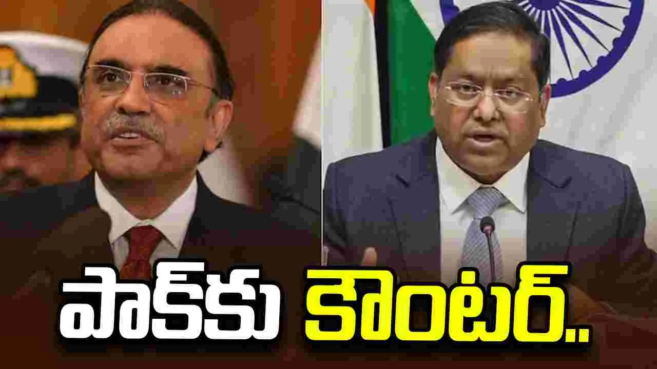 మా అంతర్గత వ్యవహారాలపై మాట్లాడే హక్కు మీకు లేదు.. పాకిస్థాన్‌ అధ్యక్షుడికి భారత్ కౌంటర్..