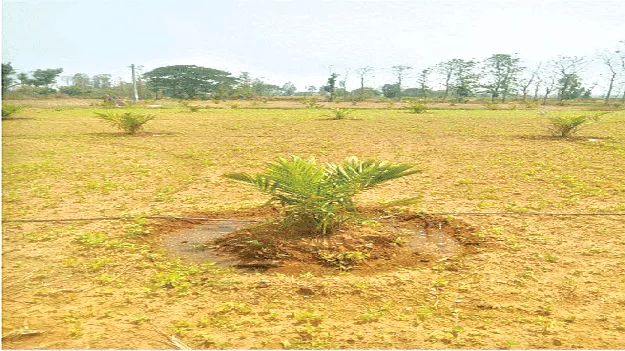 Farming కాలానుగుణంగా ‘సాగు’తూ..