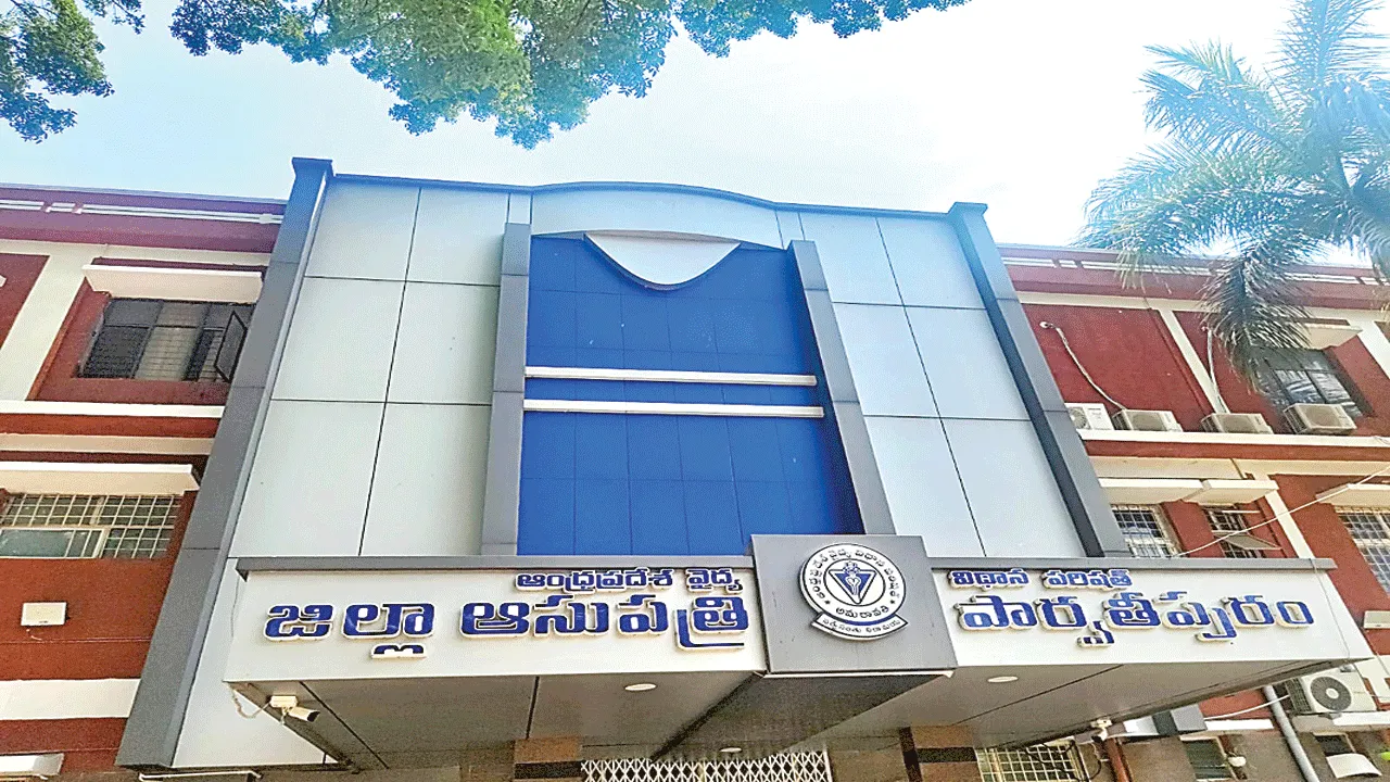 Ordeal at the Hospital ఆసుపత్రిలో అవస్థలు