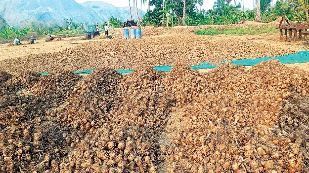 No Demand… No Price దిగబడి లేదు.. ధర లేదు