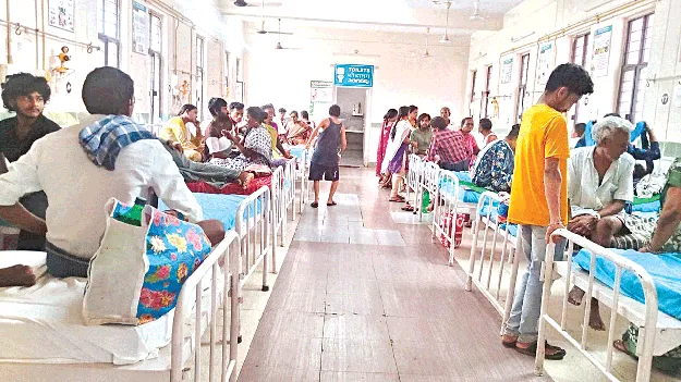 Dengue Scare డెంగ్యూ కలకలం