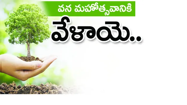 వన మహోత్సవానికి వేళాయే!