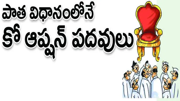 పాత విధానంలోనే   కోఆప్షన్‌ పదవులు