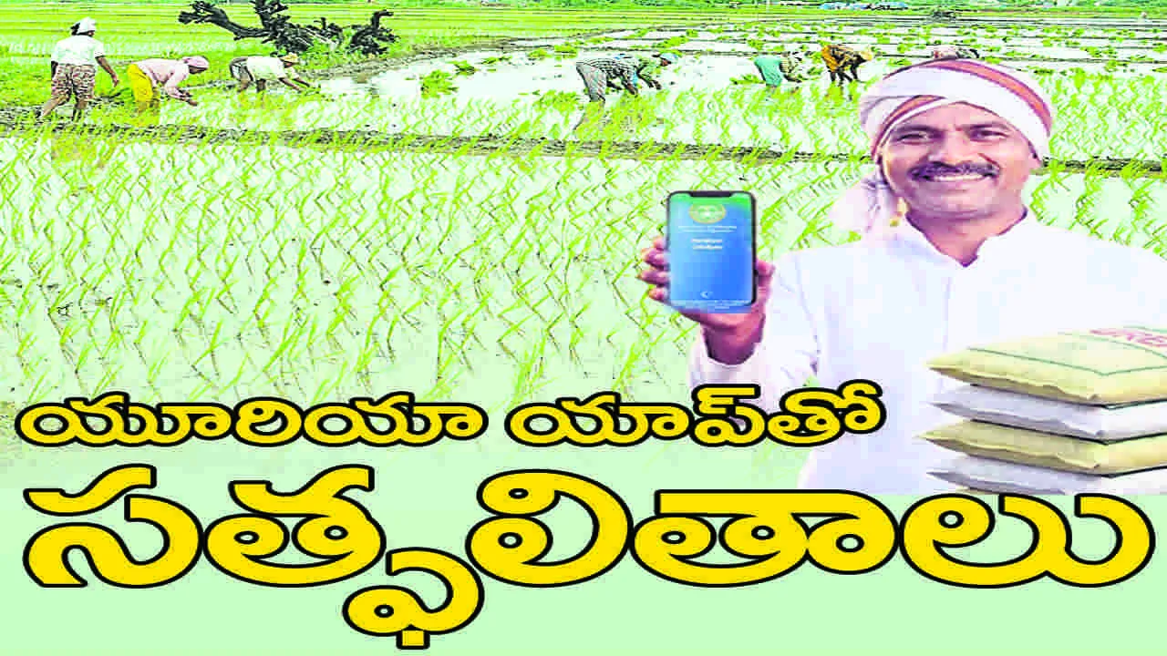  యూరియా యాప్‌తో  సత్ఫలితాలు