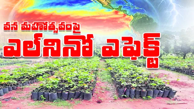  వన మహోత్సవంపై ఎల్‌నినో ఎఫెక్ట్‌