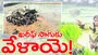  ఖరీఫ్‌ సాగుకు వేళాయె!