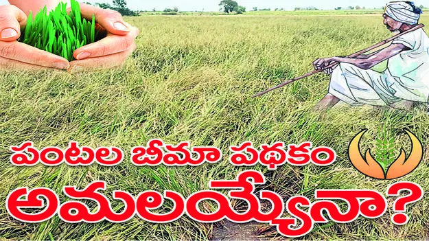 Peddapally : పంటల బీమా పథకం అమలయ్యేనా!