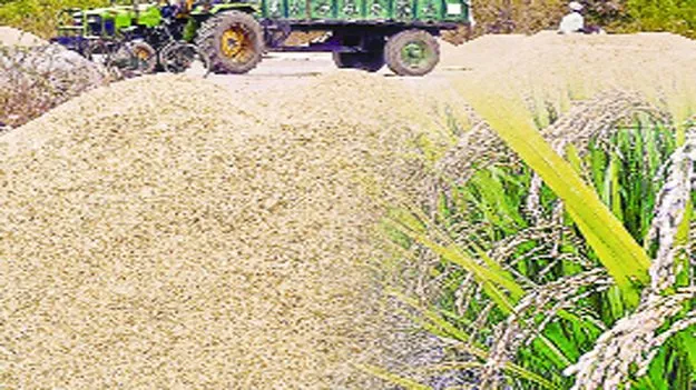  పక్కాగా సన్నాల లెక్క..