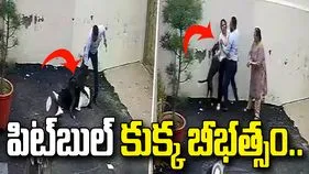 ఇంటిని చూడటానికి వెళ్లిన దంపతులపై పిట్‌బుల్ దాడి.. షాకింగ్ వీడియో వైరల్