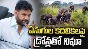ఏనుగుల సంచారం.. ప్రజలను అప్రమత్తం చేయండి: పవన్ కల్యాణ్