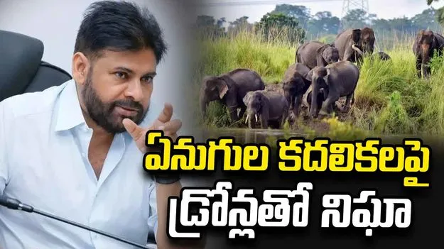ఏనుగుల సంచారం.. ప్రజలను అప్రమత్తం చేయండి: పవన్ కల్యాణ్