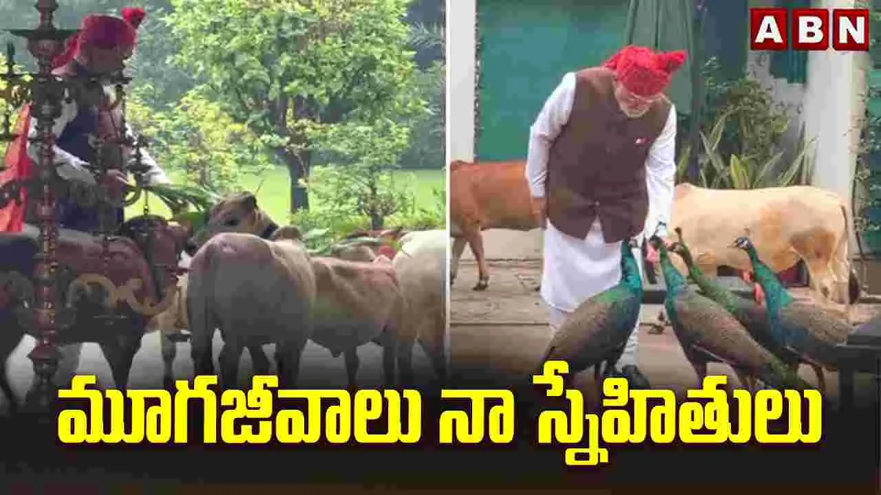 మూగజీవాలు.. నా స్నేహితులు..