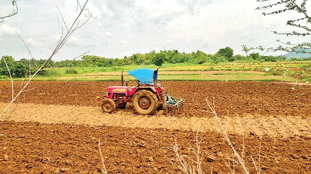 Won’t Cross 30% 30 శాతం మించలే!