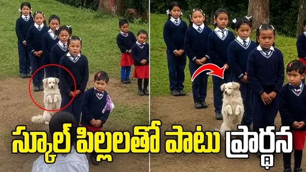 స్కూల్ ప్రార్థనలో రెండు కాళ్లపై నిలబడిన శునకం.. వీడియో వైరల్