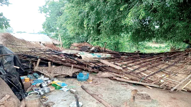  Elephants గజరాజుల విధ్వంసం 