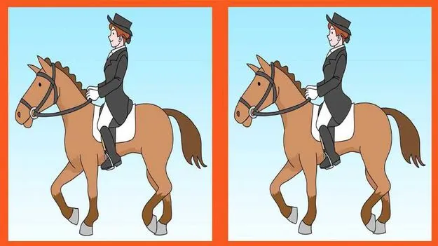 మీ దృష్టి రేంజ్ ఎంత.. ఈ ఫొటోల్లోని మూడు తేడాలను 31 సెకెన్లలో కనిపెట్టండి