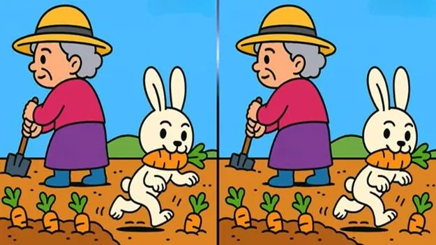 మీరు జీనియస్ అయితే.. ఈ ఫొటోల్లోని మూడు తేడాలను 35 సెకెన్లలో కనిపెట్టండి