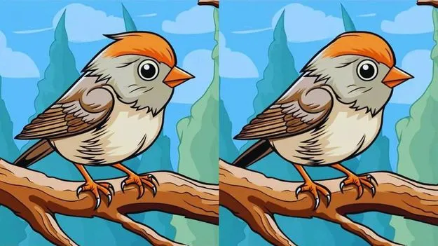 29 సెకెన్ల ఛాలెంజ్.. ఈ రెండు ఫొటోల మధ్యలో మూడు తేడాలను కనిపెట్టండి..