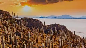 మొక్కల మధ్యలో జింక.. 15 సెకెన్లలో కనిపెడితే మీ కళ్లకు తిరుగులేనట్టే.. 