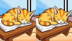 12 సెకెన్ల ఛాలెంజ్.. ఈ రెండు ఫొటోల మధ్యలో మూడు తేడాలను కనిపెట్టండి..