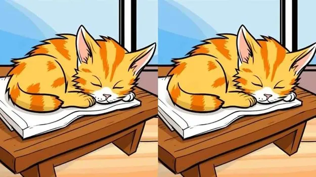 12 సెకెన్ల ఛాలెంజ్.. ఈ రెండు ఫొటోల మధ్యలో మూడు తేడాలను కనిపెట్టండి..