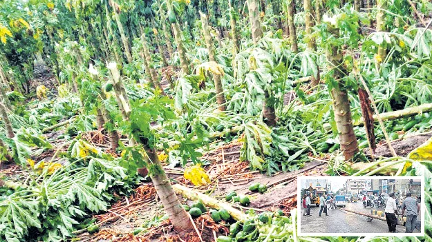 గాలివాన బీభత్సం