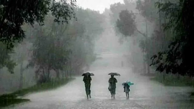 రేపే నైరుతి రుతుపవనాల ఎంట్రీ.. ఏపీలో వానలు