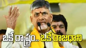 తెలుగుజాతి ఆత్మగౌరవ నినాదంతో పుట్టిన పార్టీ టీడీపీ: సీఎం చంద్రబాబు