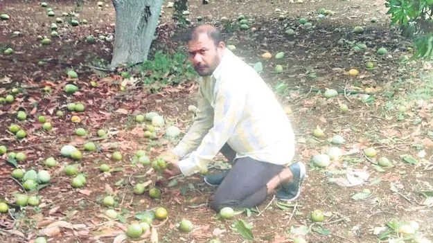 ఈదురుగాలులు..వర్షం.. రైతులకు నష్టం