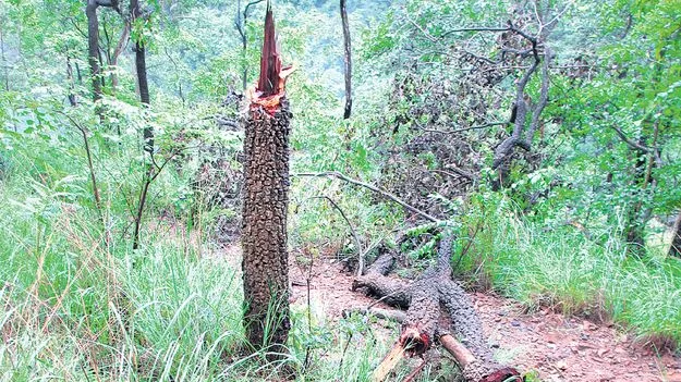 Task force: టాస్క్‌ఫోర్స్‌లో కొందరి తీరుపై అనుమానాలు