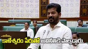 కేసీఆర్, హరీశ్ రావును జైలులో పెట్టిన తర్వాతే మాట్లాడండి.. బీజేపీ నేతలకు సీఎం రేవంత్ కౌంటర్..