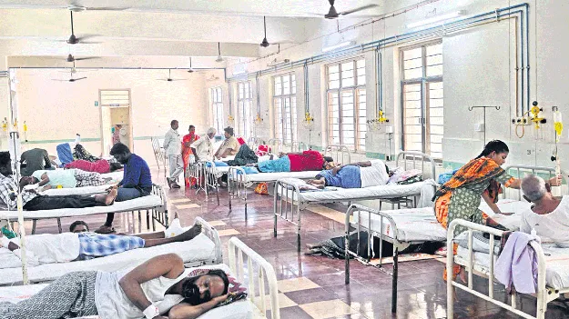 ప్రబలుతున్న సీజనల్‌ వ్యాధులు