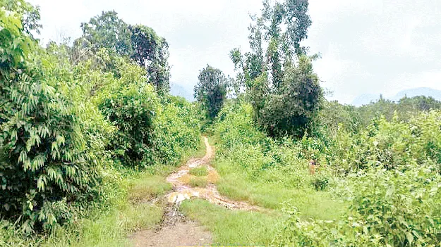  Shirivara Road  శిరివర రోడ్డు పనులు ఇలాగేనా?