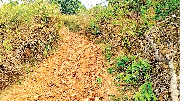  Rocks and Rough Terrain! రాళ్లు, రప్పలు దాటాల్సిందే!