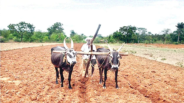   Kharif Cultivation ఖరీఫ్‌ సాగుకు సన్నద్ధం