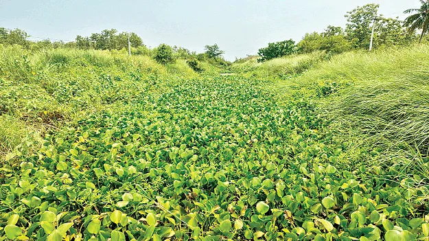  Kharif Cultivation  ఖరీఫ్‌ సాగుకు కష్టాలు తప్పవా?