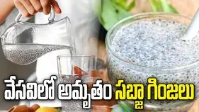వేసవిలో సబ్జా గింజలు.. ఆరోగ్య ప్రయోజనాలు తెలిస్తే అస్సలు వదలరు 