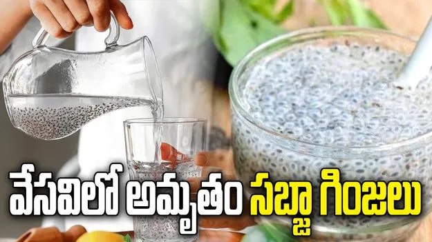 వేసవిలో సబ్జా గింజలు.. ఆరోగ్య ప్రయోజనాలు తెలిస్తే అస్సలు వదలరు 