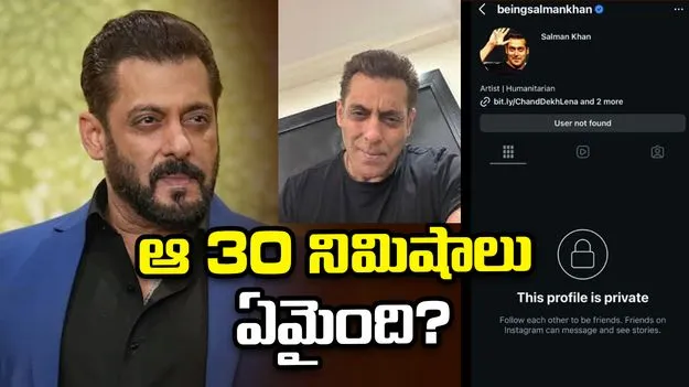 కనిపించకుండా పోయిన సల్మాన్ ఇన్‌స్టా అకౌంట్.. ఆ 30 నిమిషాలు ఏమైంది?