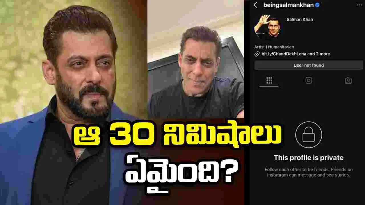 కనిపించకుండా పోయిన సల్మాన్ ఇన్‌స్టా అకౌంట్.. ఆ 30 నిమిషాలు ఏమైంది?