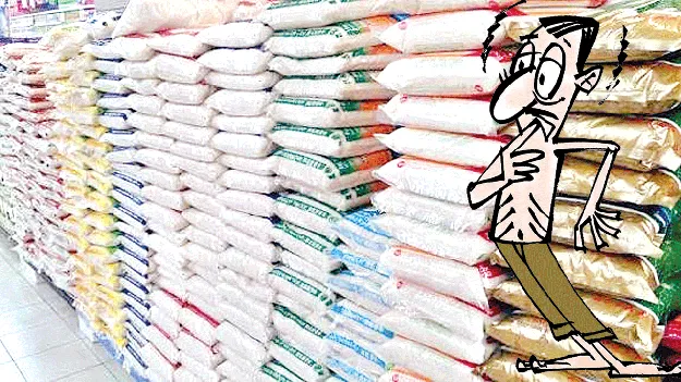 సన్నబియ్యానికి రెక్కలు