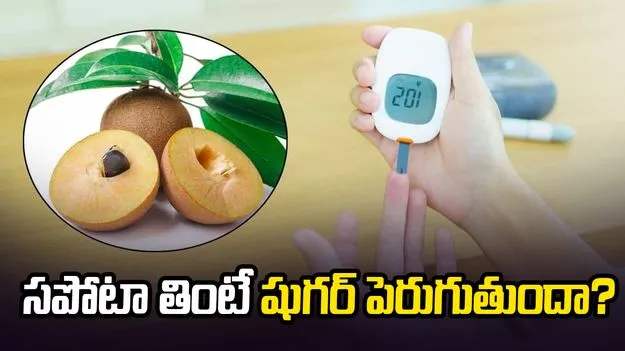 సపోటా తింటే షుగర్ పెరుగుతుందా?