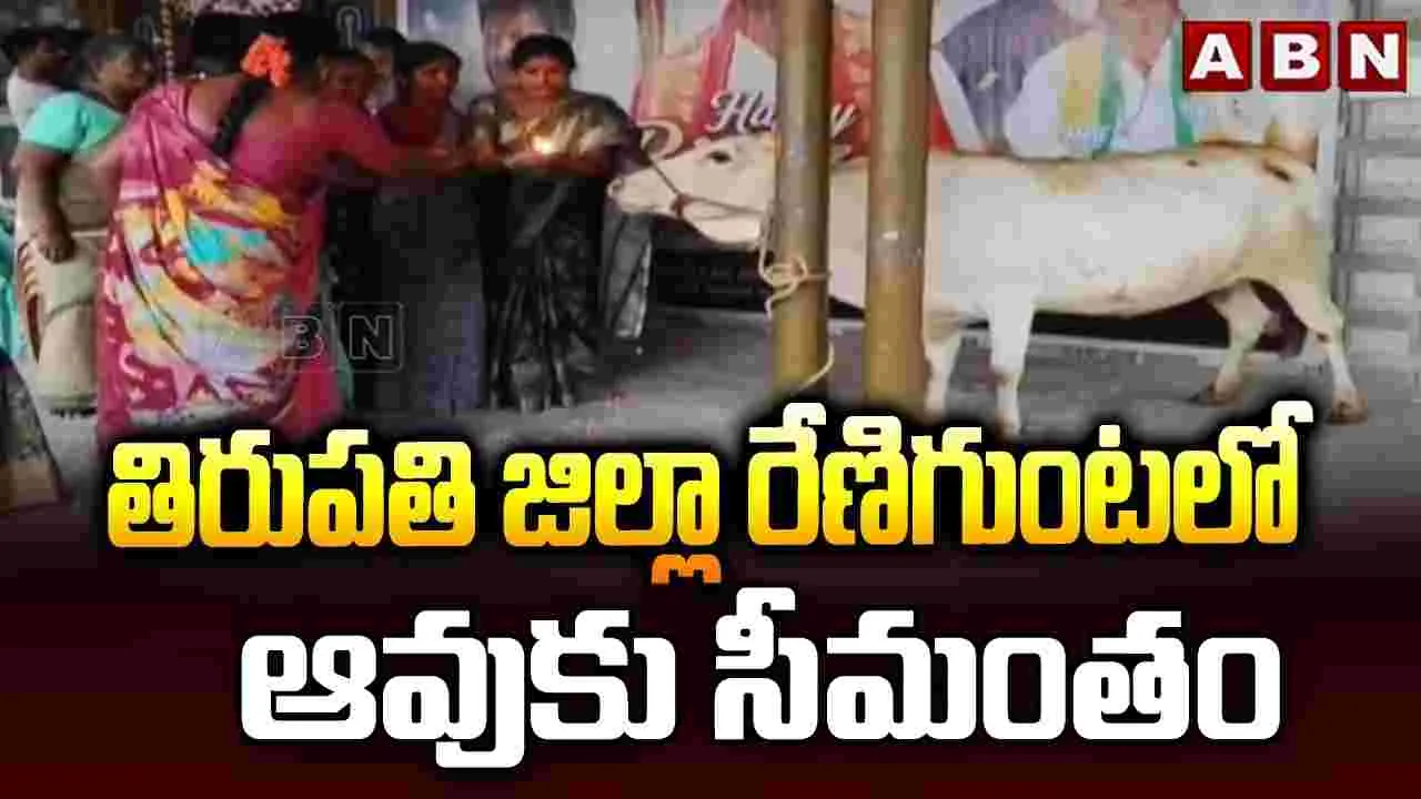 తిరుపతి జిల్లా రేణిగుంటలో ఆవుకు సీమంతం