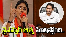 వైఎస్సార్ సిద్ధాంతాలను జగన్ మంటగలిపారు.. షర్మిల ధ్వజం