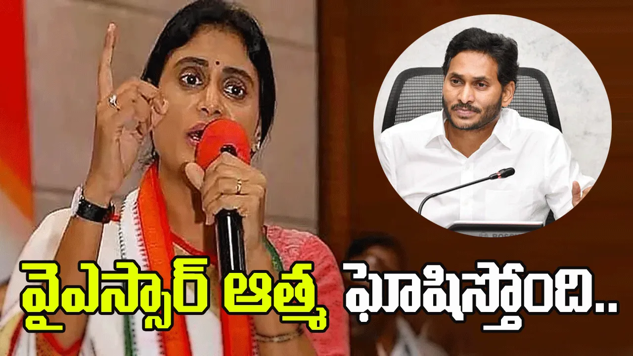 వైఎస్సార్ సిద్ధాంతాలను జగన్ మంటగలిపారు.. షర్మిల ధ్వజం