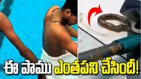 స్విమ్మింగ్ పూల్‌లో యువకుడి లోదుస్తుల్లోకి దూరిన పాము.. తర్వాత ఏం జరిగిందంటే..!