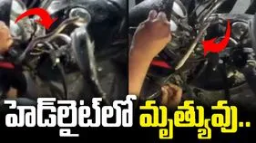 బైక్ హెడ్‌లైట్‌లో చప్పుడు.. ఏముందా అని చూడగా.. చివరకు షాకింగ్ సీన్