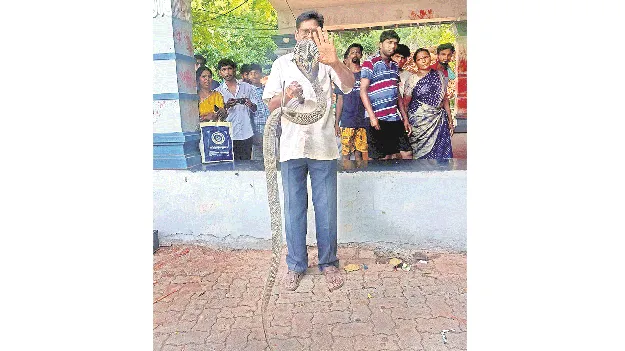 నడకమార్గంలో నాగుపాము