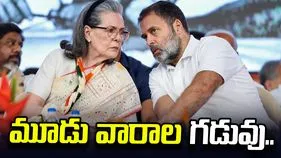 నేషనల్ హెరాల్డ్ కేసు.. సోనియా, రాహుల్‌కు ఢిల్లీ హైకోర్టు మూడు వారాల గడువు.. 