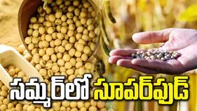 వేసవిలో సోయాబీన్స్ ఆరోగ్య ప్రయోజనాలు.. తెలిస్తే అస్సలు వదలరు